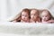 Cute babies on light background