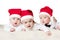 Cute babies with santa hats