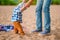 Cute baby boy learns to walk holding daddy`s hands on the beach on the sand