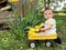 Cute baby boy in little yellow wagon holding Irises