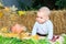 Cute baby boy with pumpkins and corn in autumn garden around fall leaves. A nine-month-old boy with blond hair and blue eyes
