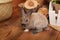 Cute baby bunny relax next to straw carpet in warm tones. Home decorative rabbit. portrait funny little bunny on floor at home and