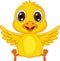 Cute baby chicken cartoon