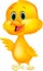 Cute baby chicken cartoon