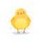 Cute baby chicken shaking water after bathing,, funny cartoon bird character vector Illustration on a white background