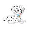 Cute baby dalmatian cartoon on white background