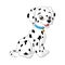 Cute baby dalmatian cartoon on white background