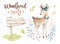 Cute baby deer animal nursery isolated illustration for children. Watercolor boho forest drawing, watercolour, image