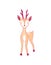 Cute baby deer. Isolated iilustration forest animal. Fawn