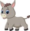 Cute baby donkey cartoon