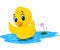 Cute baby duck cartoon