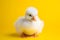 Cute Baby Duckling Portrait in Vibrant Minimalist Studio. Generative AI illustration