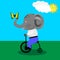 Cute baby elephant on bicycle