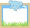 Cute baby elephant and blank board