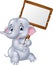 Cute baby elephant holding blank sign