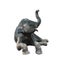 The cute baby elephant is sitting on the floor and holding the nose up above the head. isolate on a white
