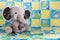 Cute Baby Elephant Stuffed Animal on a Colorful Quilt