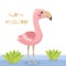 Cute baby flamingo with slogan vector illustration card