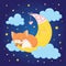 Cute baby fox sleepping on the crescent moon