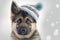 Cute Baby German Shepherd Wearing A Hat