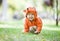 Cute baby girl dressed in fox costume crawling on lawn in park