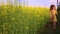 Cute baby girl walking along the canola field on sunny countryside