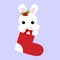 Cute baby holiday Christmas a little white Bunny inside the sock