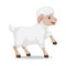 Cute baby lamb cartoon on white background