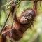 Cute baby orangutan monkey. Created using ai generative.