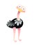 Cute Baby Ostrich Curious Kids Character