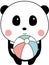 Cute Baby Panda Playing Sea Ball, Standing, White Background