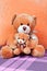 Cute baby plush toys - a bear holds in the paws of a teddy bear