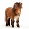 Cute Baby Ponies Foal On White Background For Printing