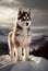 Cute baby puppy Siberian dog on top snowy mountain, Generative Ai