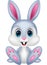 Cute baby rabbit cartoon