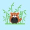 Cute baby red panda standing between the bamboo