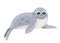 Cute baby seal. Arctic animal, cartoon flat design. Vector illustration isolated on white background