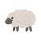 Cute baby Sheep. Digital hand drawn illustration with little lamb for textile design, poster, card. Drawing of character