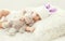 Cute baby sleeping with teddy bear toy on white soft bed home