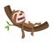 Cute baby sloth sleeping on branch. Vector funny sloth illustration for summer design. Adorable cartoon animal. Funny