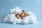 Cute baby teddy bear sleeping on the cloud, relax and dream
