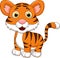 Cute baby tiger cartoon