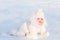 Cute baby in a white fur suit crawling in snow on a very sunny winter day