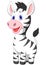 Cute baby zebra cartoon