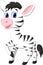 Cute baby zebra cartoon