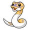 Cute banana pied ball python cartoon