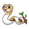 Cute banana pied ball python cartoon on tree branch