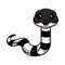 Cute banded krait snake cartoon