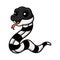 Cute banded krait snake cartoon