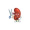 Cute Barber right human kidney cartoon character style with scissor